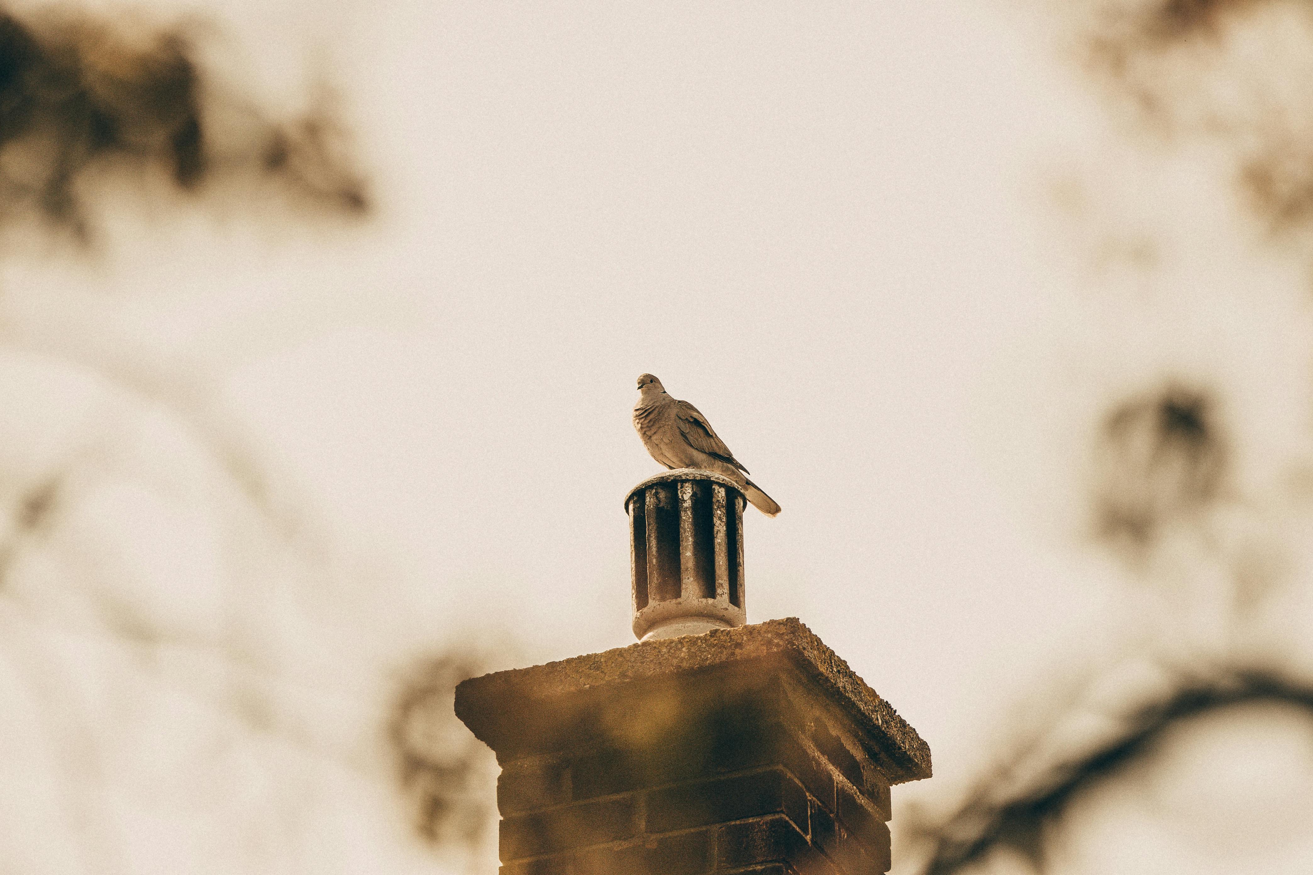 Expert Chimney Cap Installation in El Toro, California